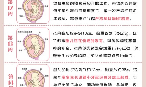 癌症病人能晒太阳吗网癌症患者晒太阳注意事项知识网站,分享癌症病人能晒太阳吗为什么大全