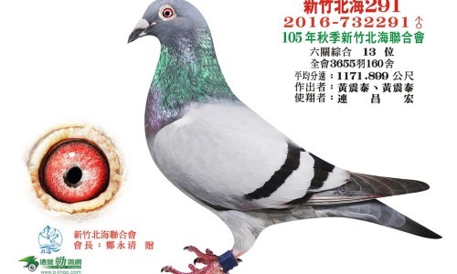 癌症病人能晒太阳吗网癌症患者晒太阳注意事项知识网站,分享癌症病人能晒太阳吗为什么大全